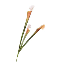 Load image into Gallery viewer, Trumpet Artificial Flower Brown TRUMPET002
