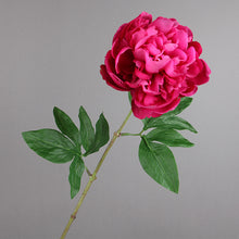 Load image into Gallery viewer, Peony Single Heads Artificial Flower Stem 5 color Selection
