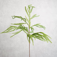 Load image into Gallery viewer, Pine Branch 73cm

