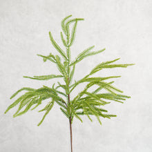 Load image into Gallery viewer, Pine Branch 73cm
