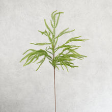 Load image into Gallery viewer, Pine Branch 73cm
