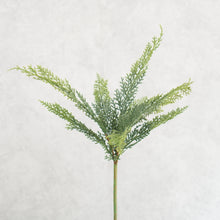 Load image into Gallery viewer, Pine Branch 51cm
