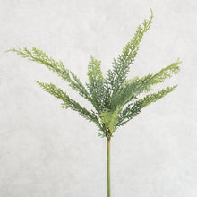 Load image into Gallery viewer, Pine Branch 51cm
