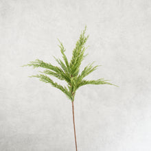 Load image into Gallery viewer, Pine Branch 70cm
