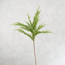 Load image into Gallery viewer, Pine Branch 70cm
