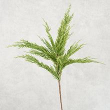 Load image into Gallery viewer, Pine Branch 70cm
