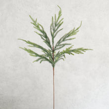 Load image into Gallery viewer, Pine Branch 69cm
