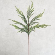 Load image into Gallery viewer, Pine Branch 69cm
