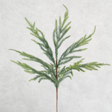Load image into Gallery viewer, Pine Branch 69cm
