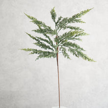 Load image into Gallery viewer, Pine Branch 67cm
