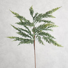 Load image into Gallery viewer, Pine Branch 67cm
