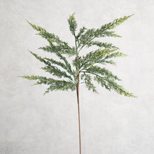 Load image into Gallery viewer, Pine Branch 67cm
