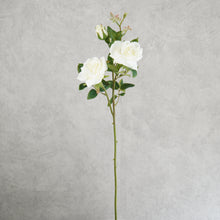 Load image into Gallery viewer, Rose White 65cm
