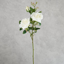 Load image into Gallery viewer, Rose White 65cm
