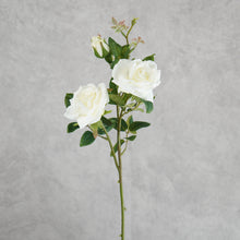 Load image into Gallery viewer, Rose White 65cm
