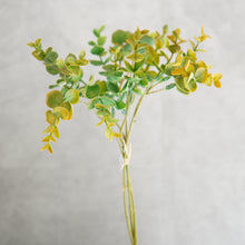 Load image into Gallery viewer, Eucalyptus Bunch Short
