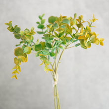 Load image into Gallery viewer, Eucalyptus Bunch Short
