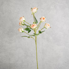 Load image into Gallery viewer, Rosespray Peach  56cm
