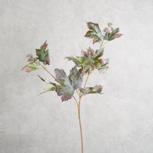 Load image into Gallery viewer, Grape Leaf 53cm

