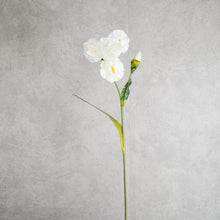 Load image into Gallery viewer, Delphinium White 85cm

