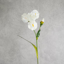 Load image into Gallery viewer, Delphinium White 85cm
