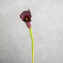 Load image into Gallery viewer, Callalily Purple 72cm
