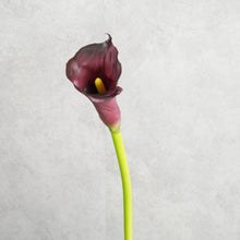 Load image into Gallery viewer, Callalily Purple 72cm

