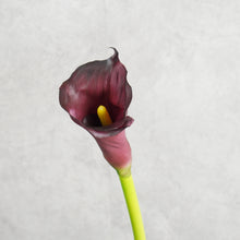 Load image into Gallery viewer, Callalily Purple 72cm
