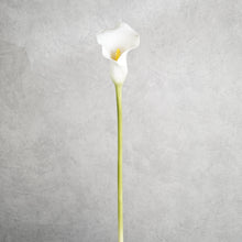 Load image into Gallery viewer, Callalily White 75cm
