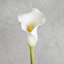 Load image into Gallery viewer, Callalily White 75cm
