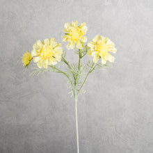 Load image into Gallery viewer, Scabiosa yellow 59cm
