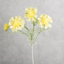 Load image into Gallery viewer, Scabiosa yellow 59cm
