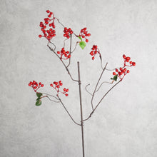 Load image into Gallery viewer, Berry Brunch Red 82cm
