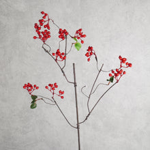 Load image into Gallery viewer, Berry Brunch Red 82cm
