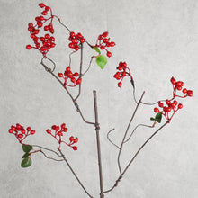 Load image into Gallery viewer, Berry Brunch Red 82cm
