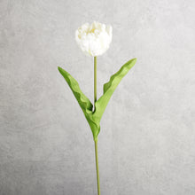 Load image into Gallery viewer, Tulip White 62cm
