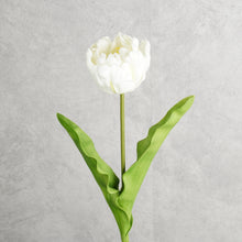 Load image into Gallery viewer, Tulip White 62cm
