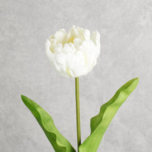 Load image into Gallery viewer, Tulip White 62cm
