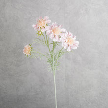 Load image into Gallery viewer, Scabiosa Pink 59cm
