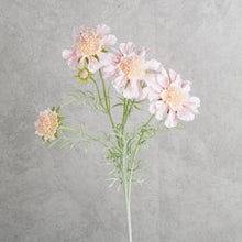 Load image into Gallery viewer, Scabiosa Pink 59cm

