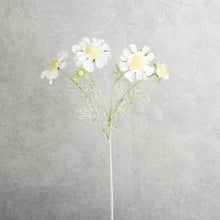 Load image into Gallery viewer, Scabiosa White 59cm
