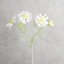 Load image into Gallery viewer, Scabiosa White 59cm
