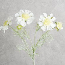 Load image into Gallery viewer, Scabiosa White 59cm
