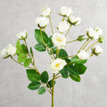 Load image into Gallery viewer, Rosespra White 57cm
