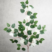 Load image into Gallery viewer, Bougainvil Lea 70cm
