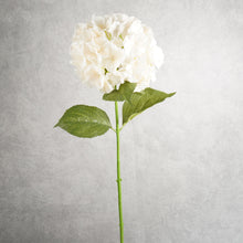 Load image into Gallery viewer, Hydrangea White 75cm
