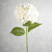 Load image into Gallery viewer, Hydrangea White 75cm
