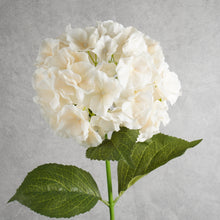 Load image into Gallery viewer, Hydrangea White 75cm
