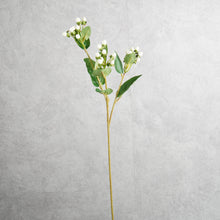 Load image into Gallery viewer, Hypericum White 66cm
