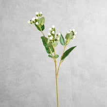 Load image into Gallery viewer, Hypericum White 66cm
